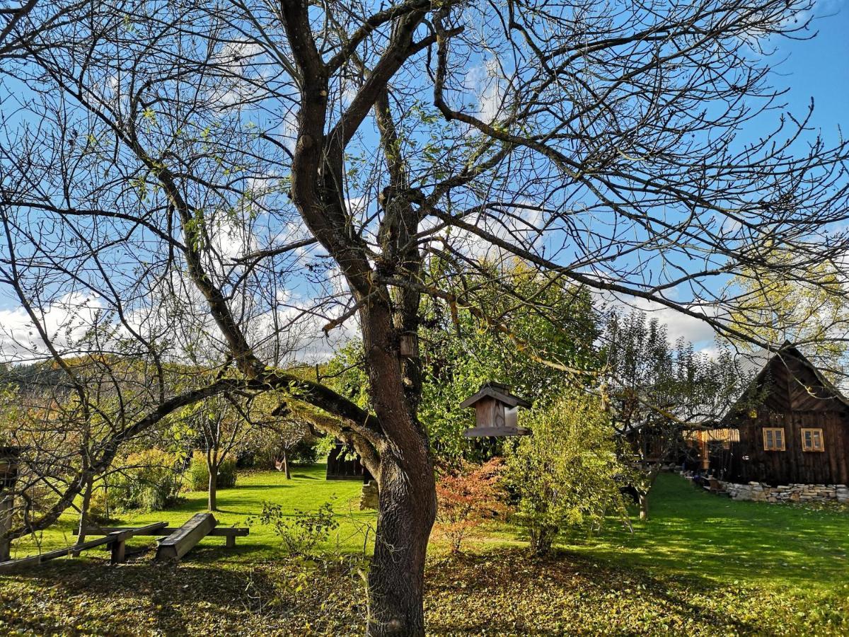 Apartmány Červený Dvůr Chvalšiny Exterior foto